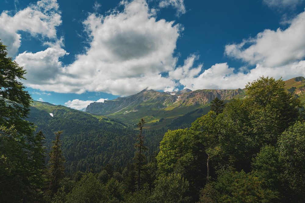 Photograph by Андрей Cоколов