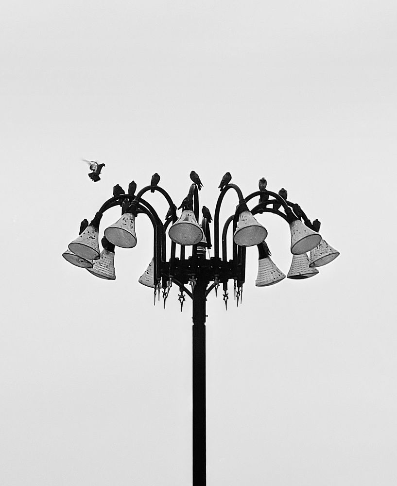 Фотография автора Mohammad Mohseni