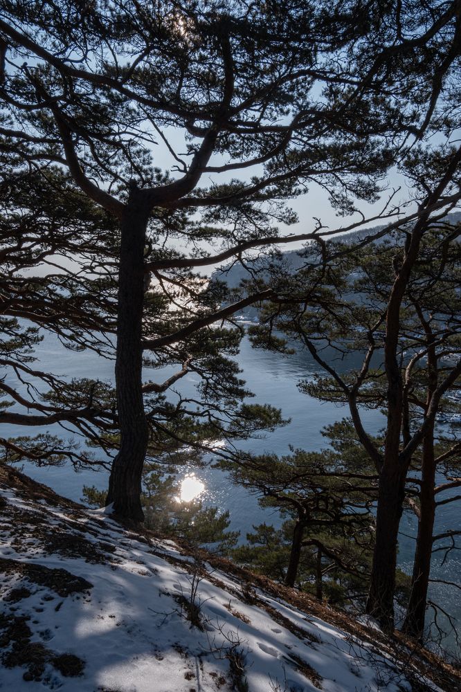 Photograph by Сыворотка Елена