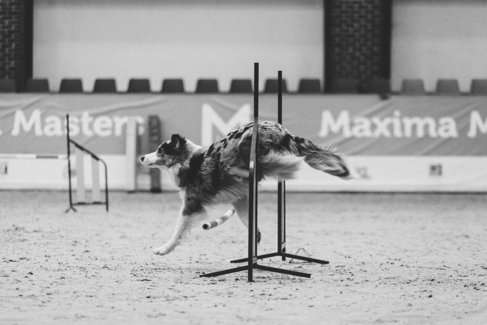 Photograph by Татьяна Степанова