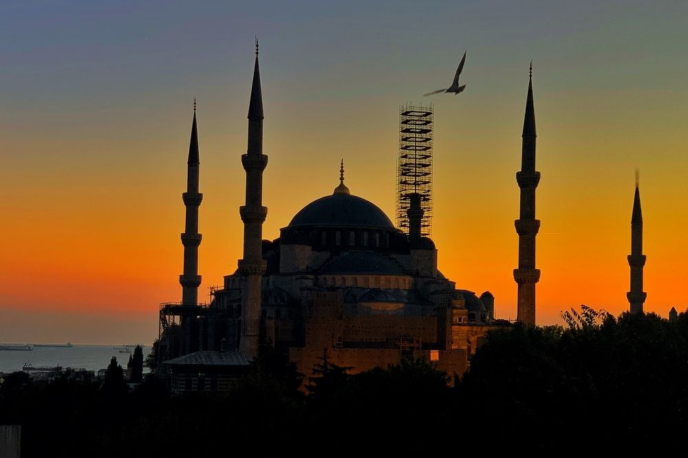 Photograph by Vasilisa Pokrovskaya