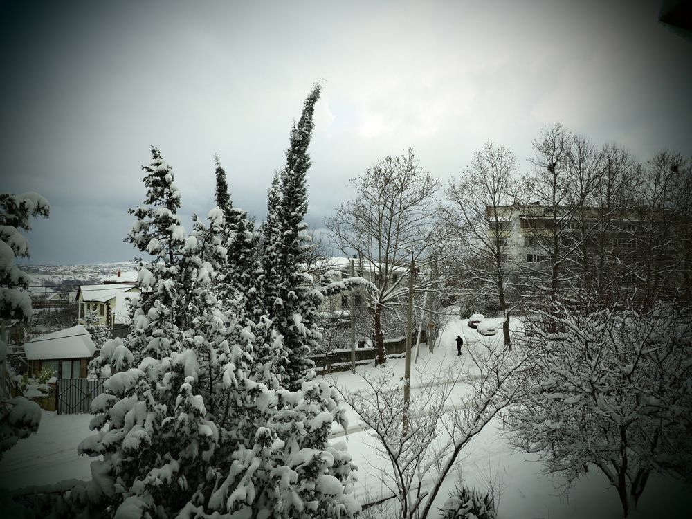 Photograph by Сергей Борисов