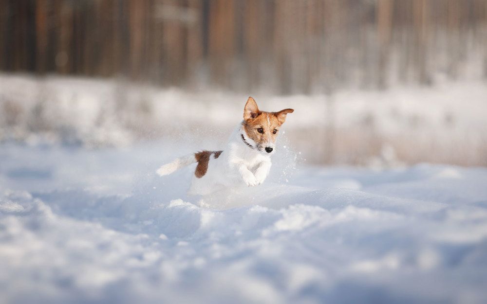 Photograph by Елизавета Романова