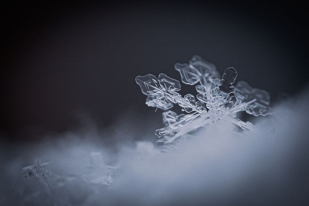 Photograph by Ольга Тюрина