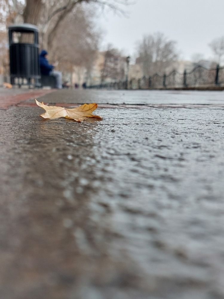 Фотография автора Neda Naserdost