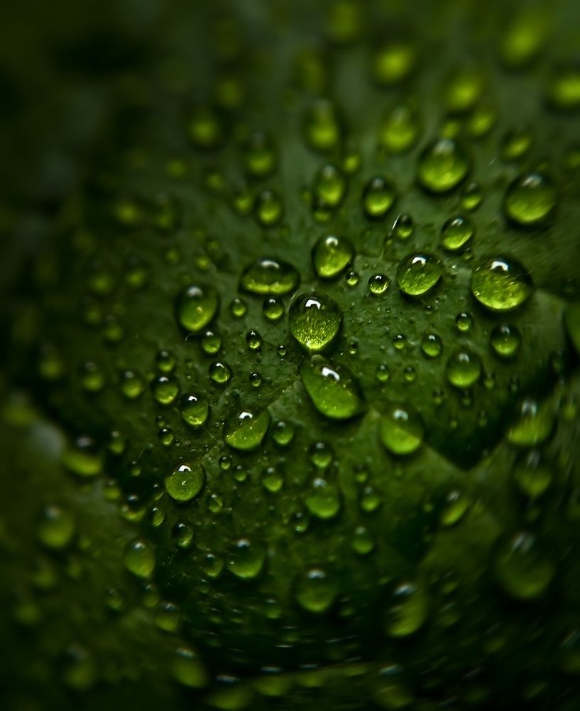 Photograph by YULYA ROMANOVA