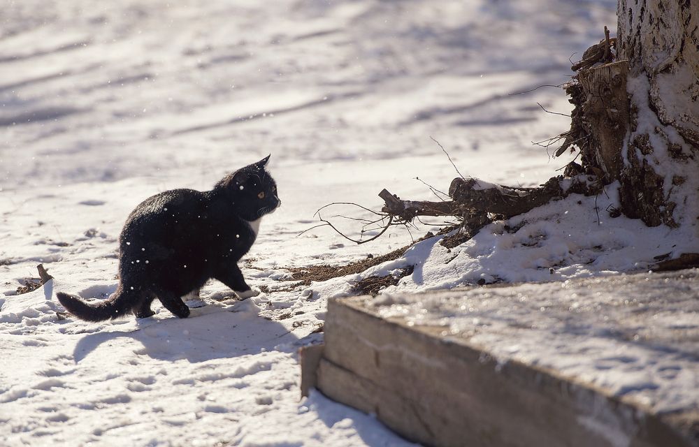 Photograph by Natalia Badyul