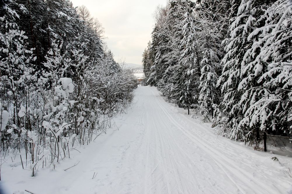 Photograph by федотов Алексей