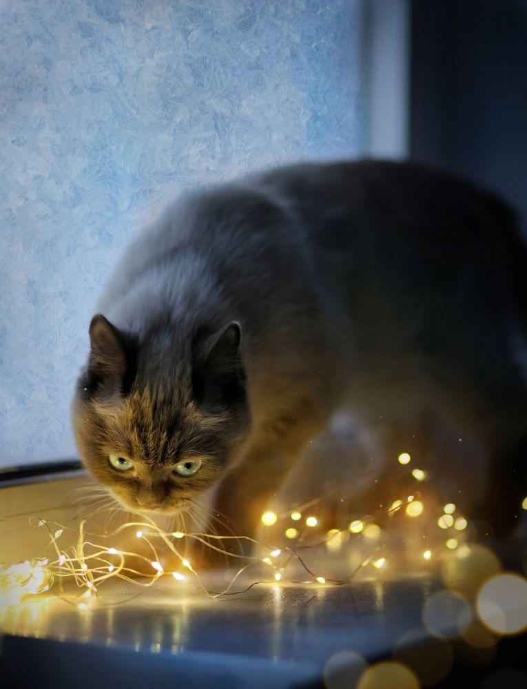 Photograph by Катерина Коханова