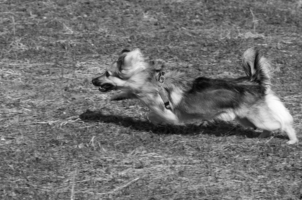 только вперед