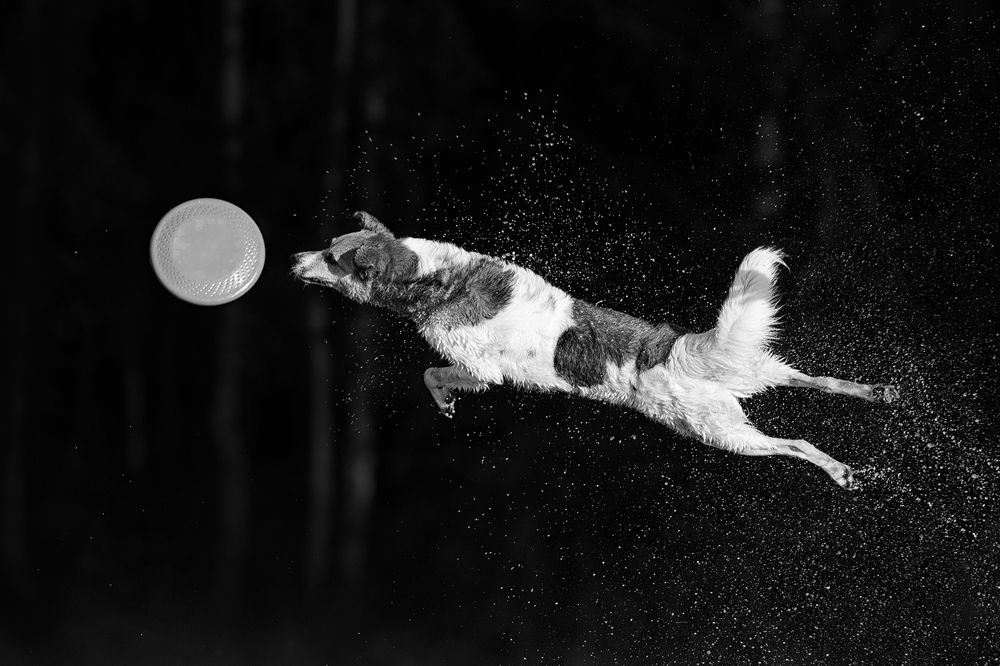 Photograph by Ольга Легенькая