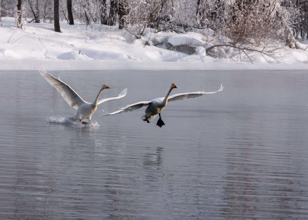 Photograph by Елена Князева