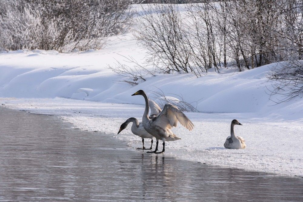 Photograph by Елена Князева