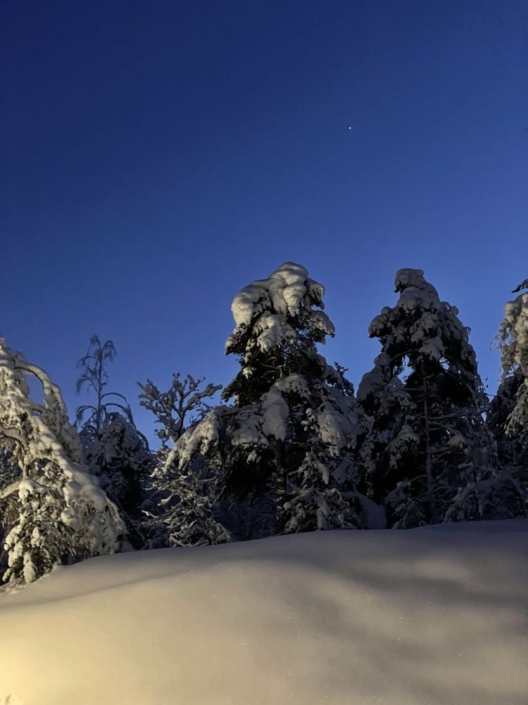 Фотография автора Anna NovaLova