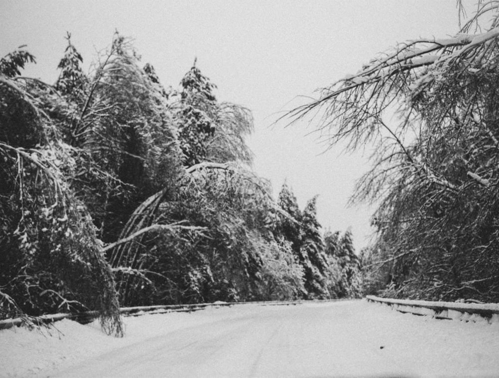 Photograph by Ирина Дьяченко