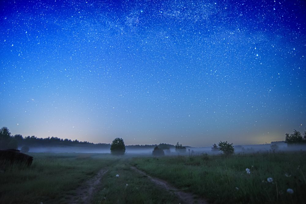 Туманная летняя ночь