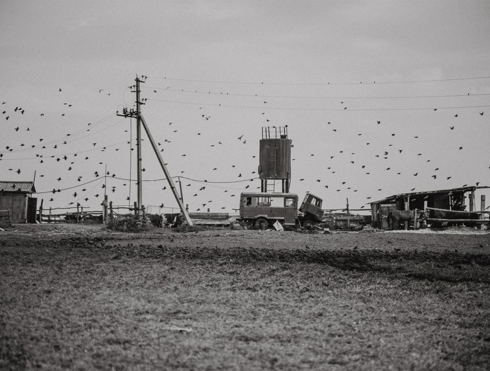 Photograph by Ирина Дьяченко