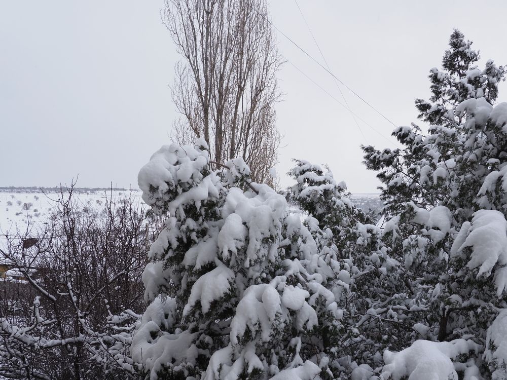 Photograph by Сергей Борисов