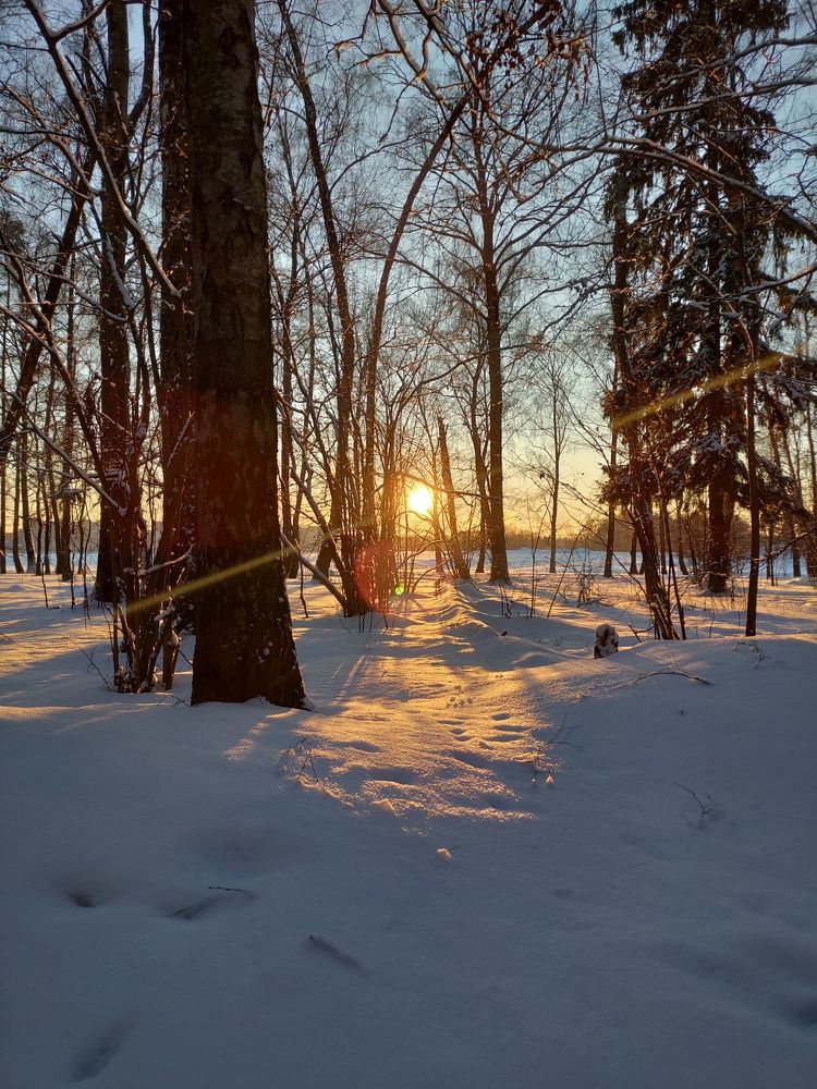 Photograph by Ольга