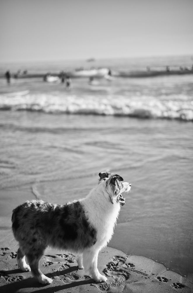 Photograph by Eduardo Chacon