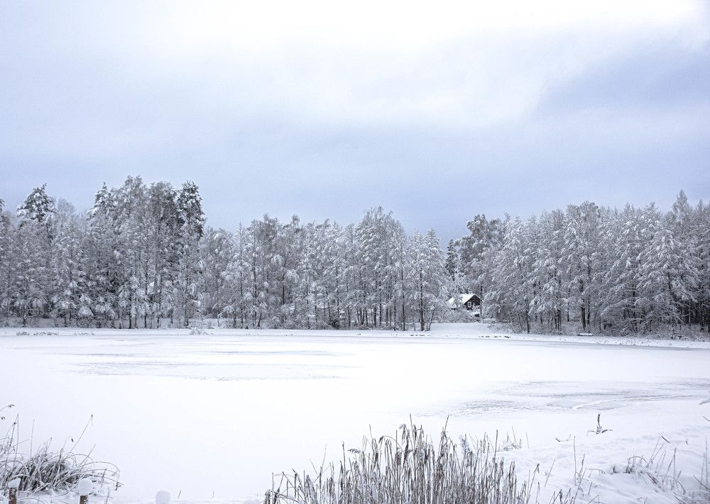 Фотография автора Aлексей Игнатьев