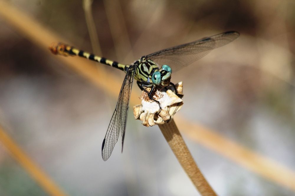 Photograph by Nadzeya