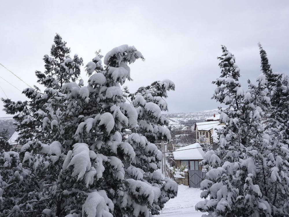 Photograph by Сергей Борисов