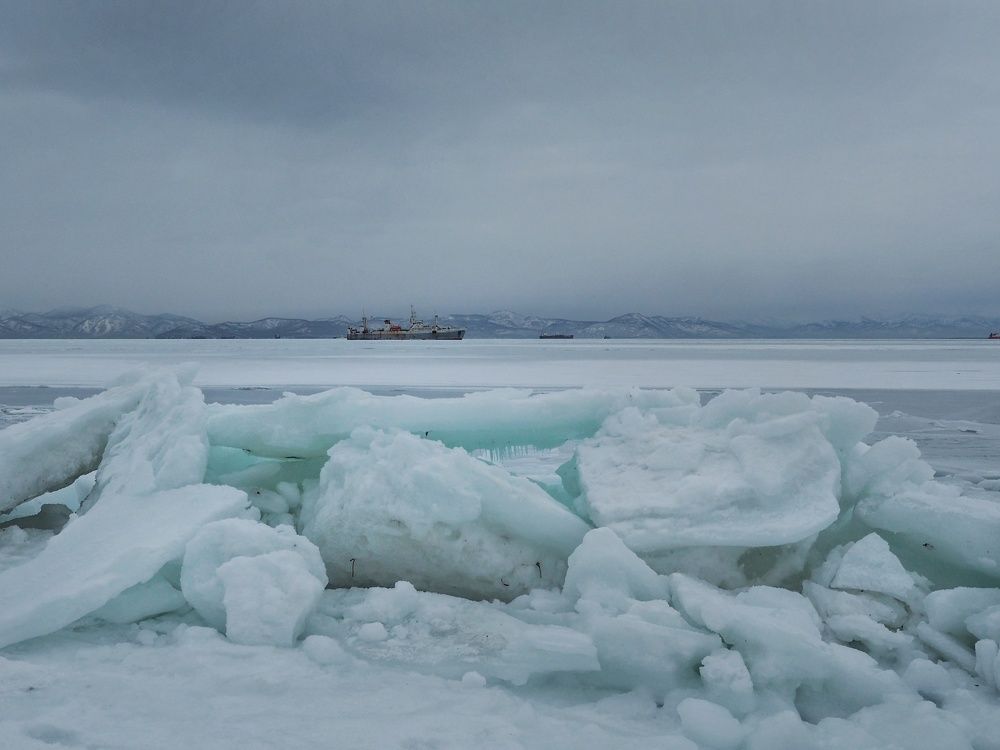 Photograph by Elena Poddubnaja