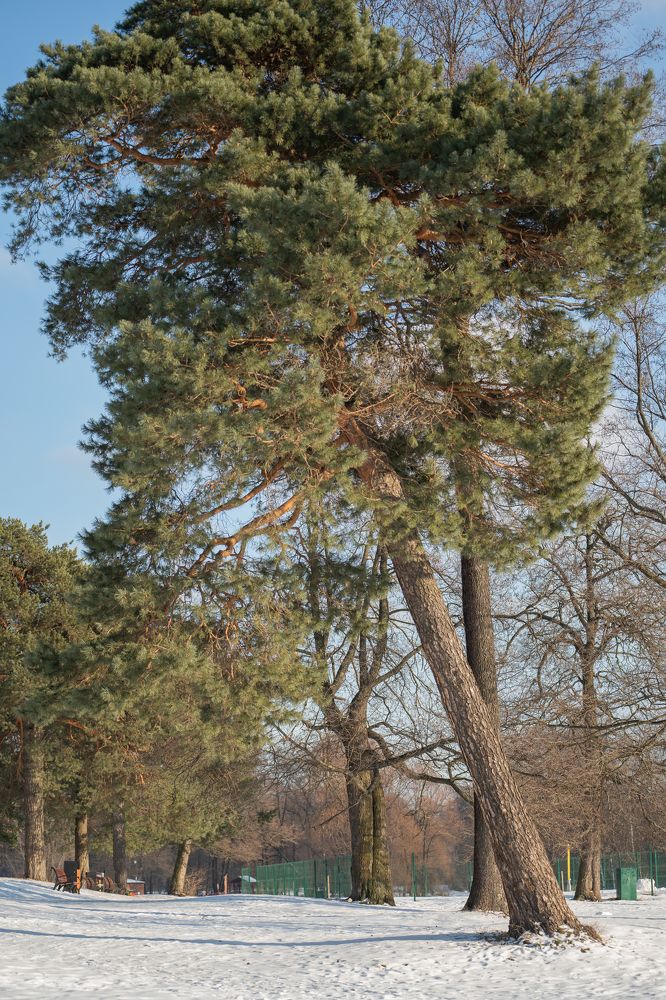 Photograph by Олеся Владимирова