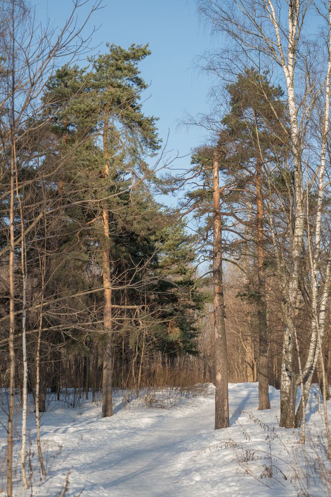 Photograph by Олеся Владимирова