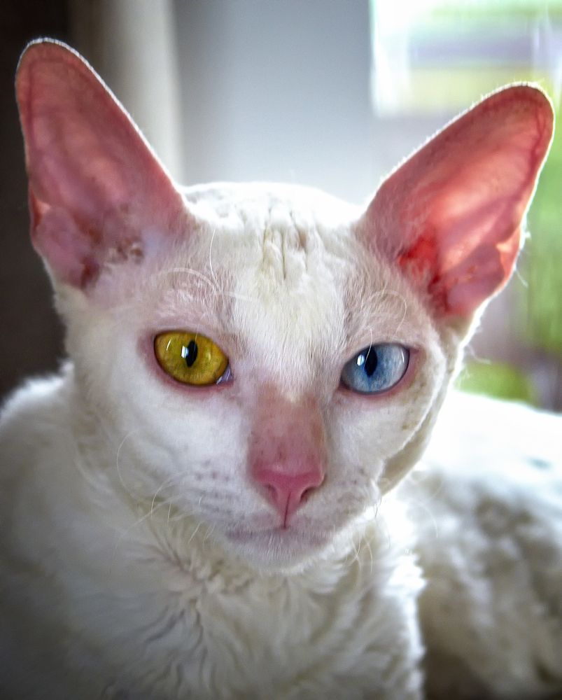 Photograph by Валерий