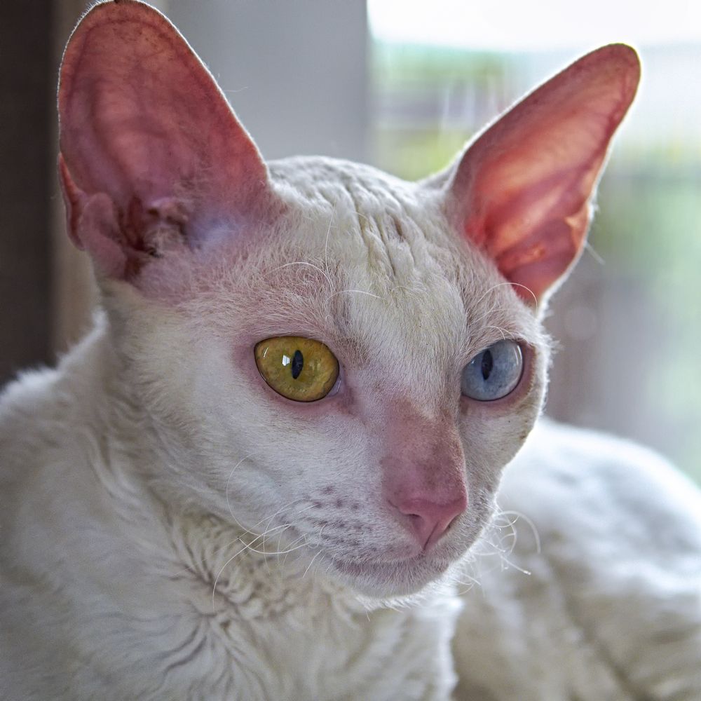 Photograph by Валерий