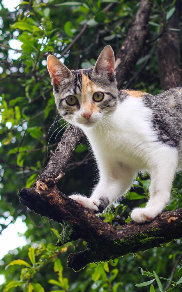 Photograph by Mariana Barboza