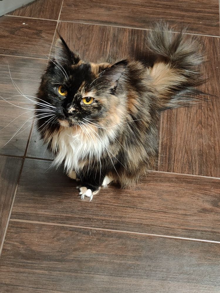 Photograph by Ольга