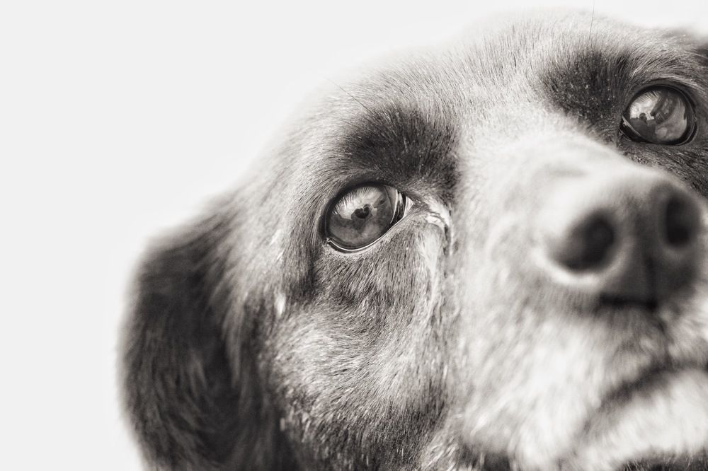 Photograph by Алексей Кроль