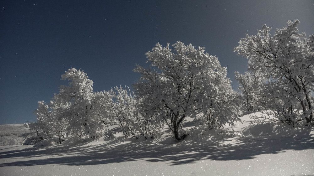 Лунный свет