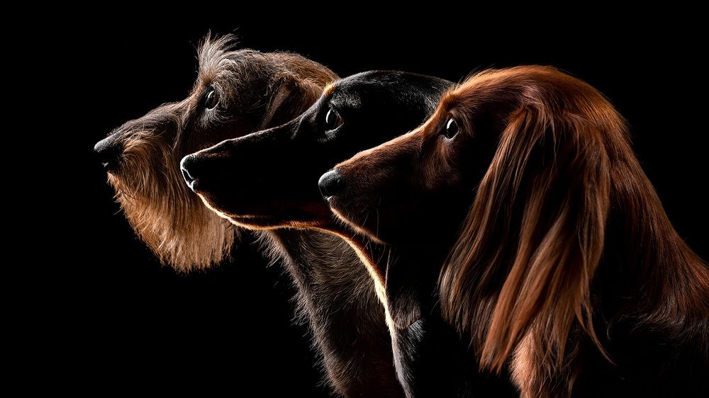 Фотография автора Оксана Серова