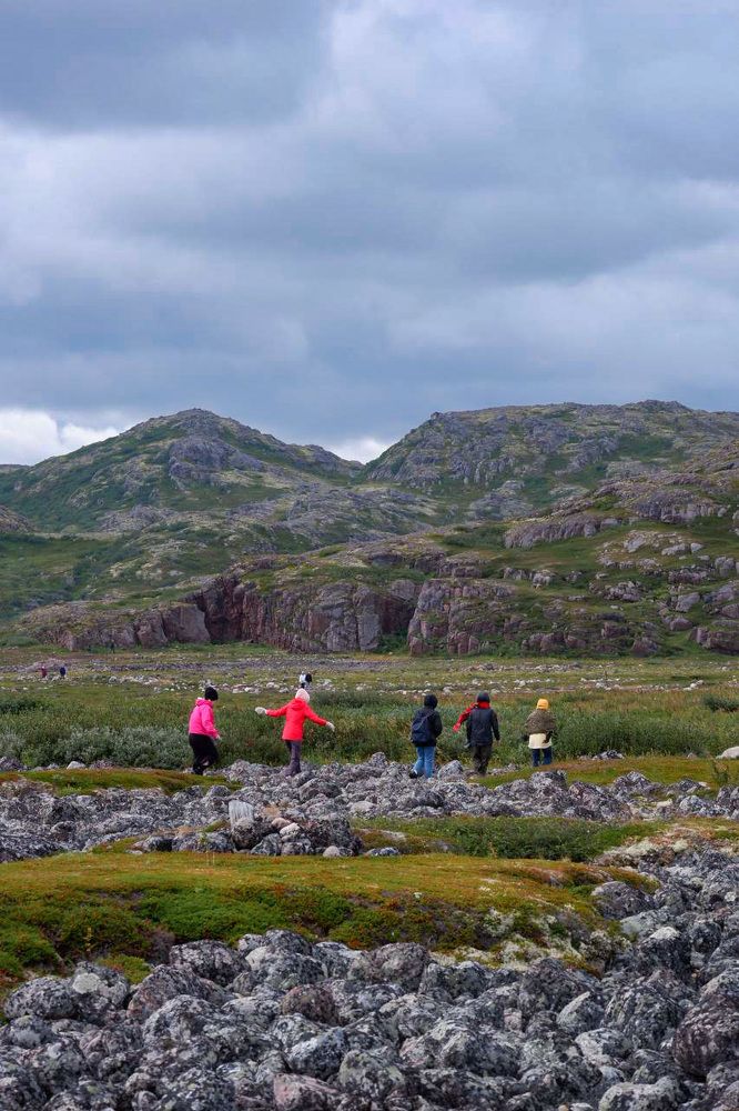 Летняя Арктика