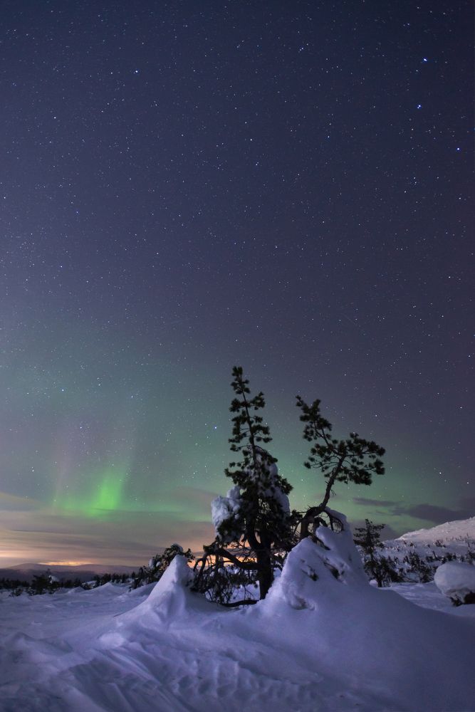 Северная ночь