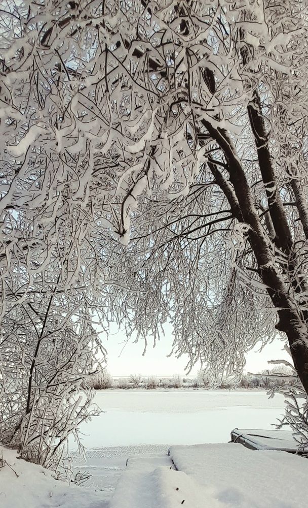 Photograph by Соколова Елена