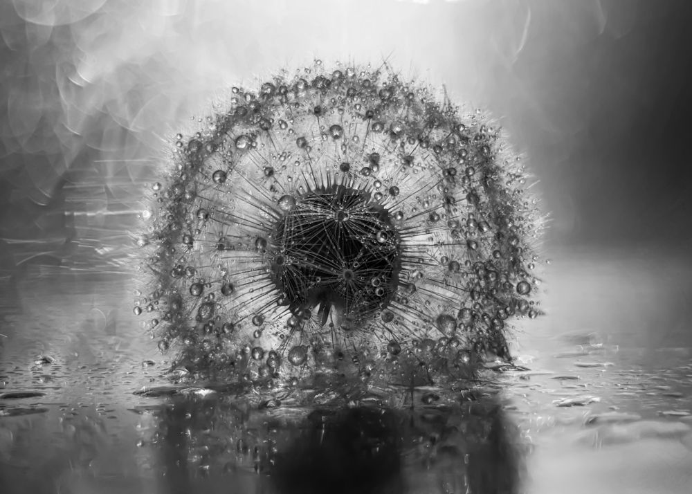 Photograph by Третьякова Анастасия