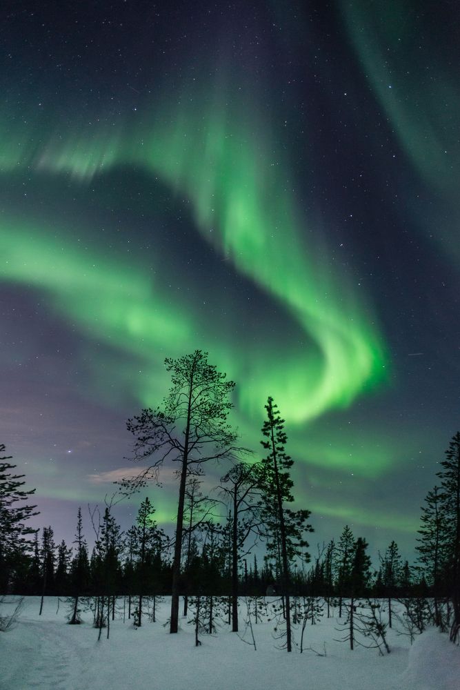 Краски северной ночи