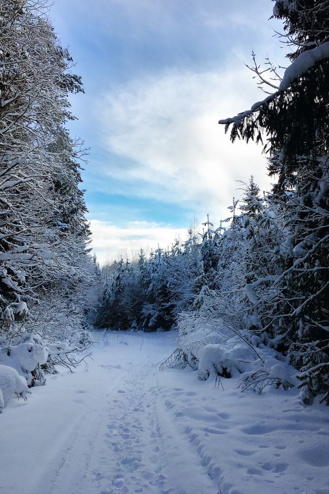 Photograph by Екатерина Фокина