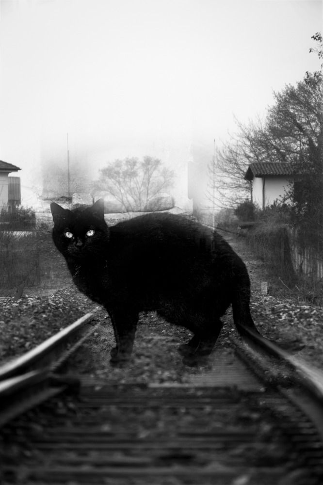 Photograph by Elliott Grieshofer