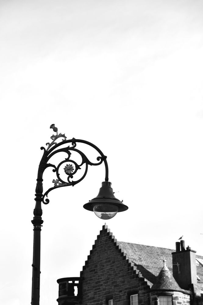 Photograph by Shahabedin Zeini Aslani,