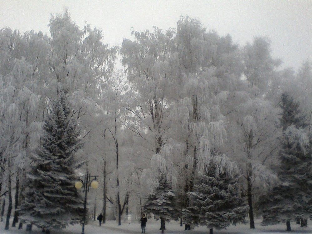 Photograph by Владимир Командрин