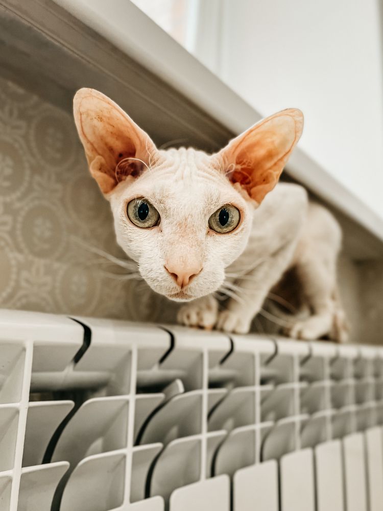 Photograph by Яна Колчанова