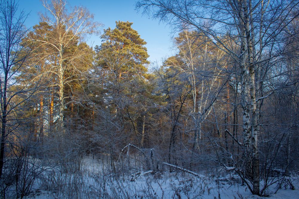 Фотография автора Анна Широкова