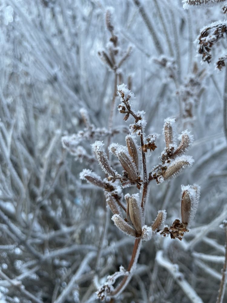 Photograph by Диана Ширшова