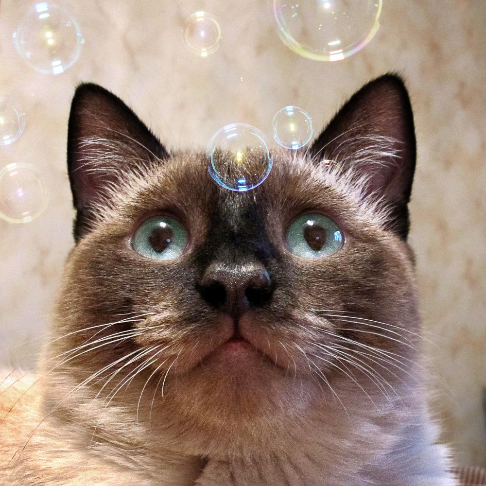 Photograph by Ольга Петрова